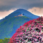 Colombia - Popayan Supremo - Cauca